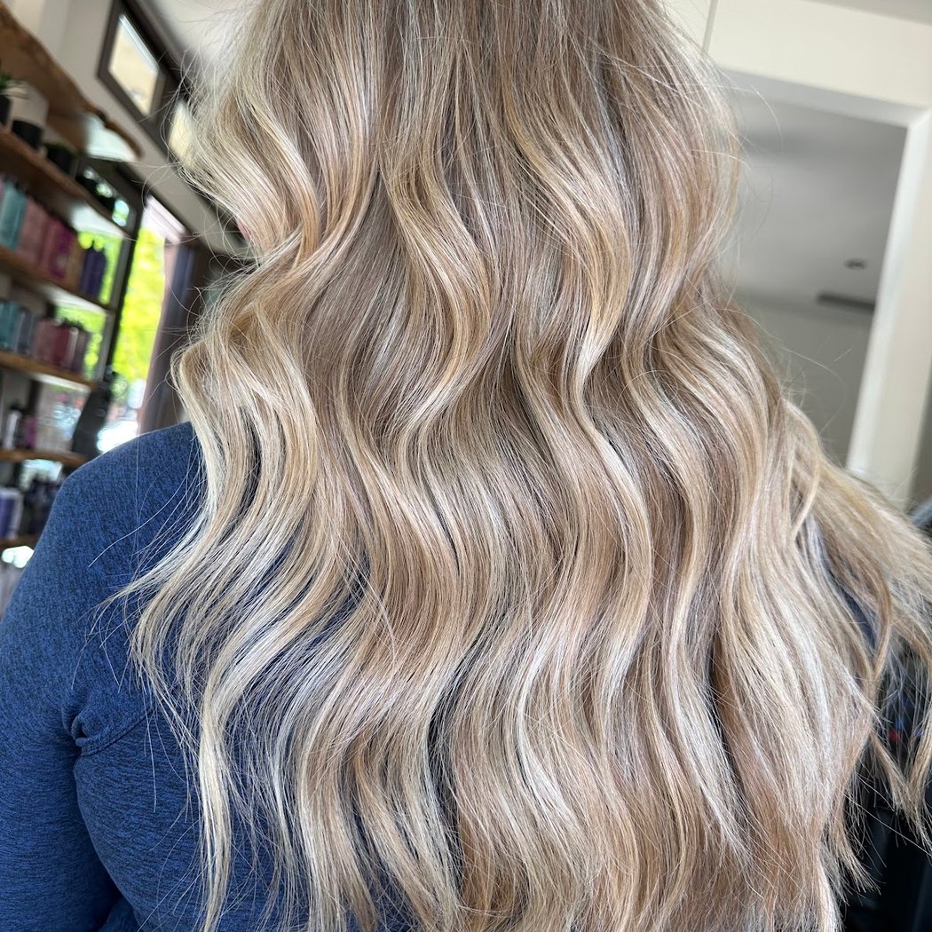 Michael Anthony Salon 1