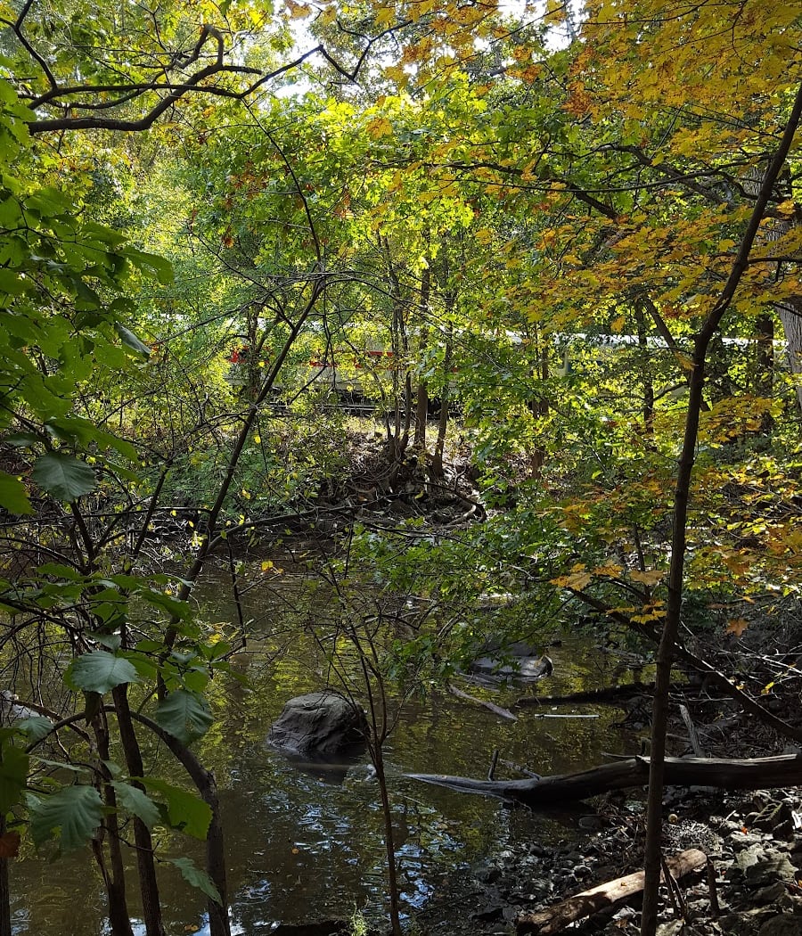 Arden Point 3