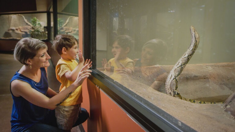 Virginia Zoo 1
