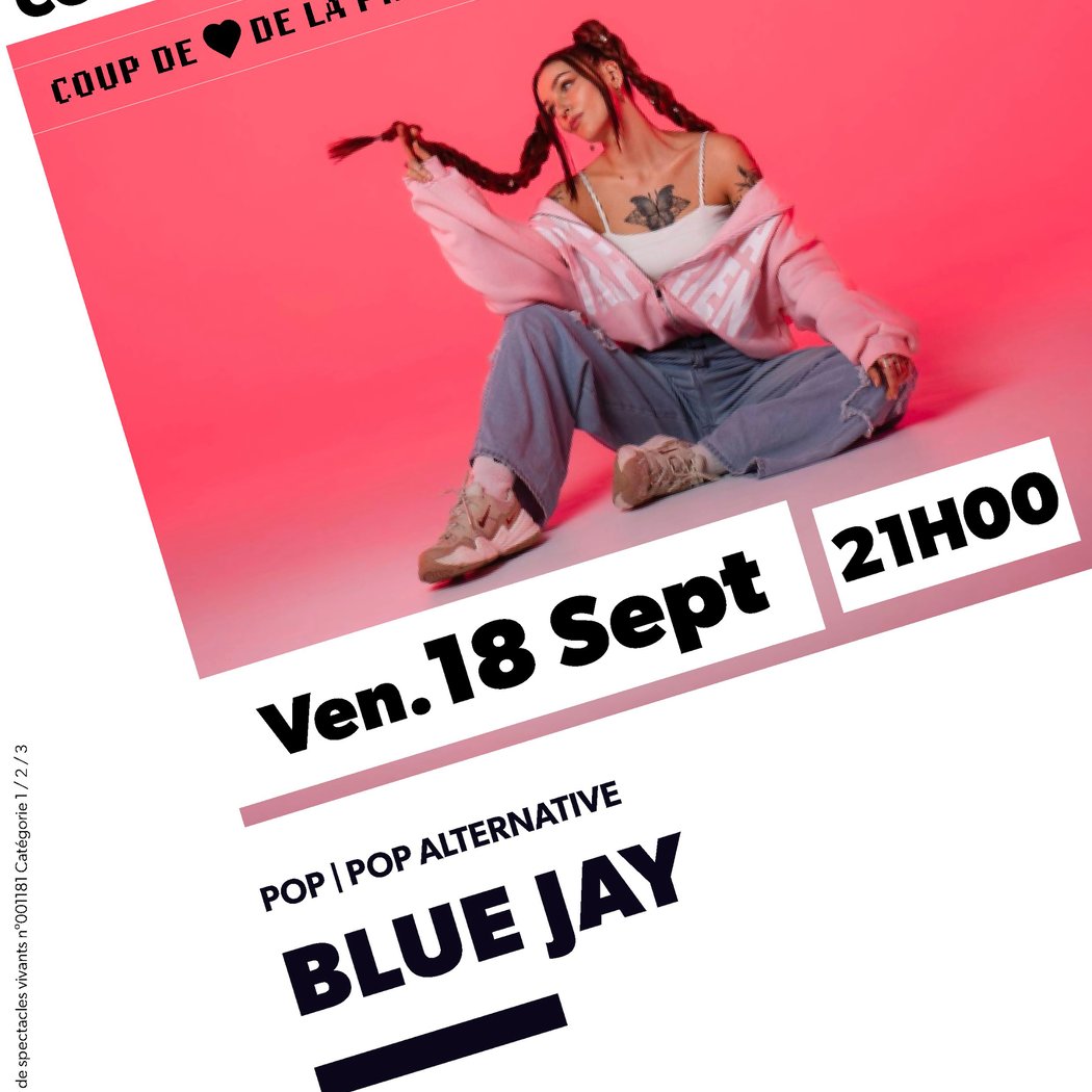 BLUE JAY | POP ALTERNATIVE