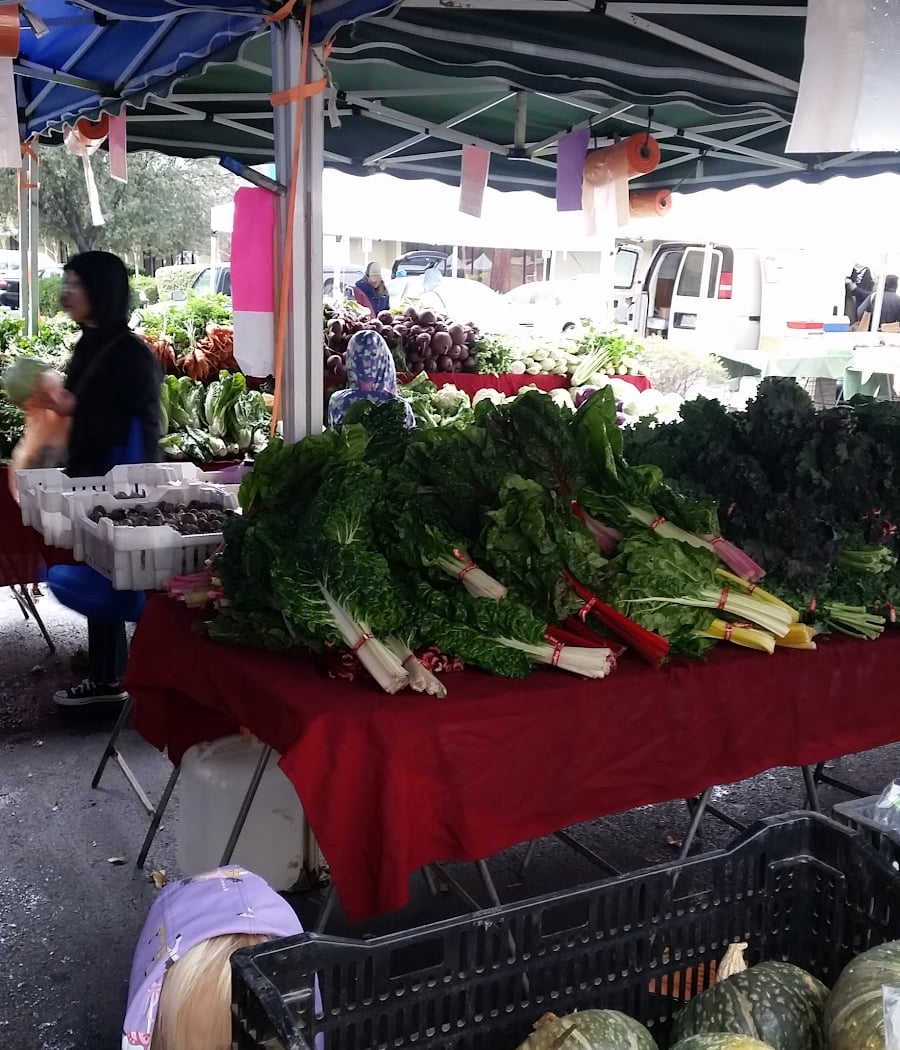 Kid's Day at the Market 3