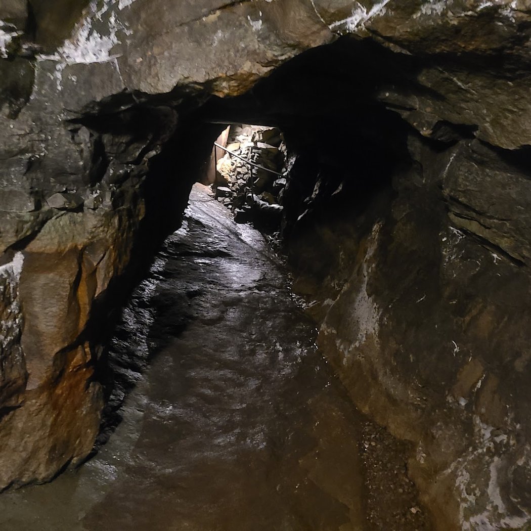 Light into the Dungeon 1