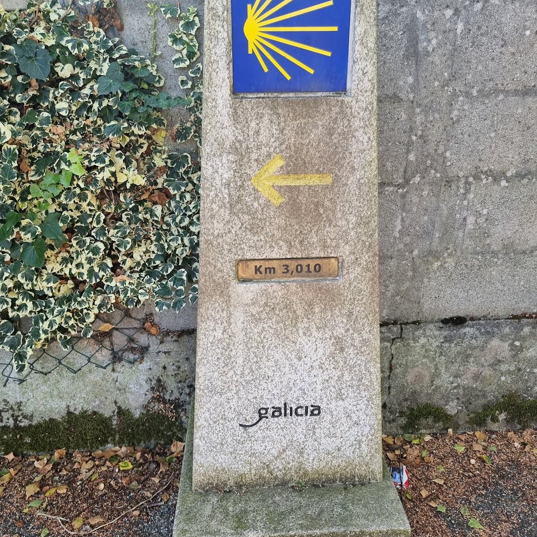 Camino Experience 1