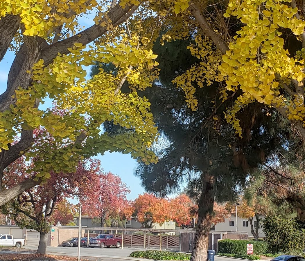 Civic Center Park 3