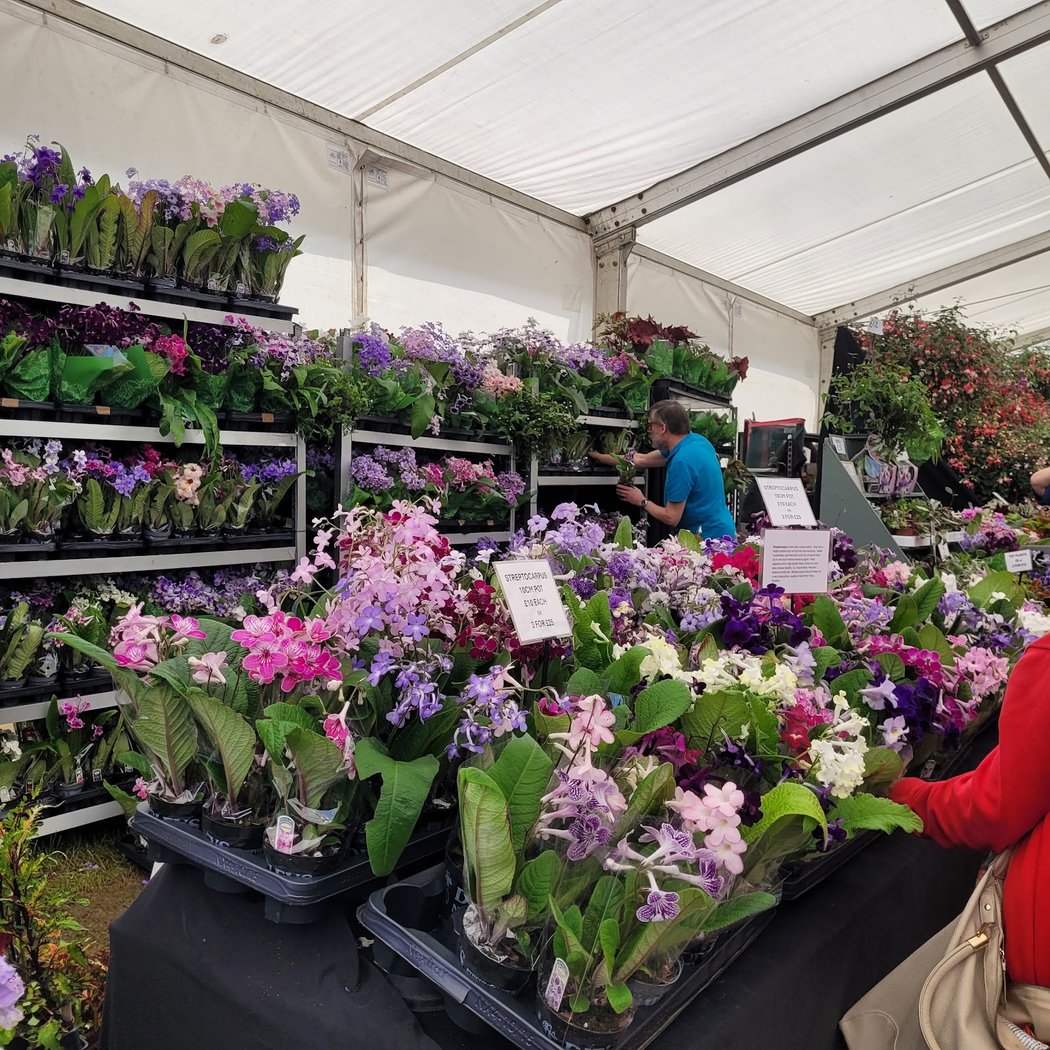 Royal Botanic Gardens Kew Orchid Festival 2