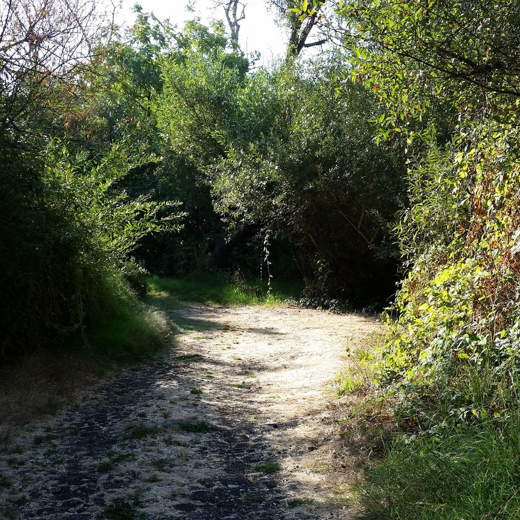 Stivers Lagoon Nature Area 2