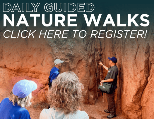 Wednesday Morning Guided Nature Walk 1