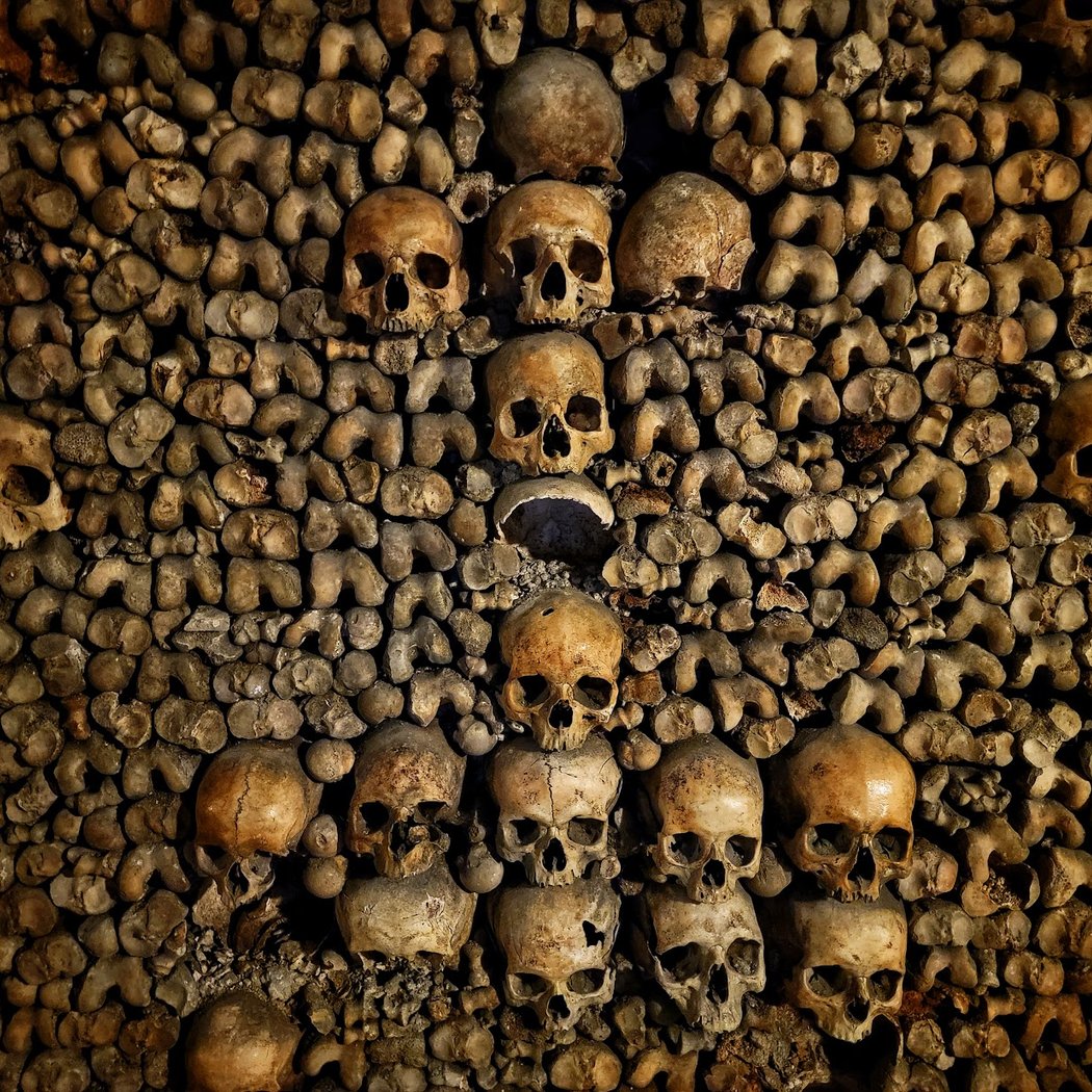 Catacombes de Paris Reopening