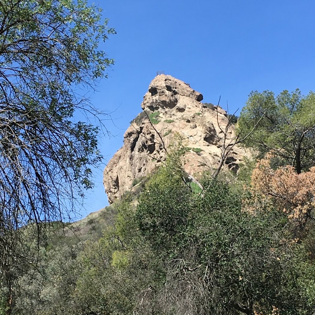Old Los Angeles Zoo 2