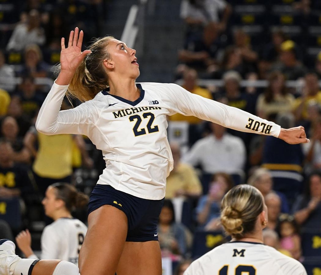 Michigan Wolverines vs. LSU Tigers 1