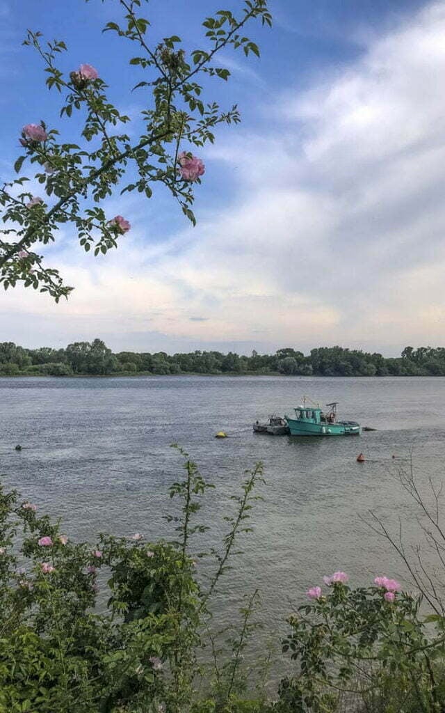 île Clémentine 2