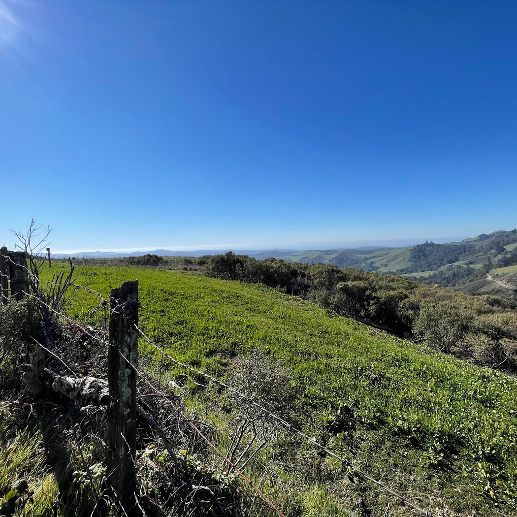 Lost Trail 2