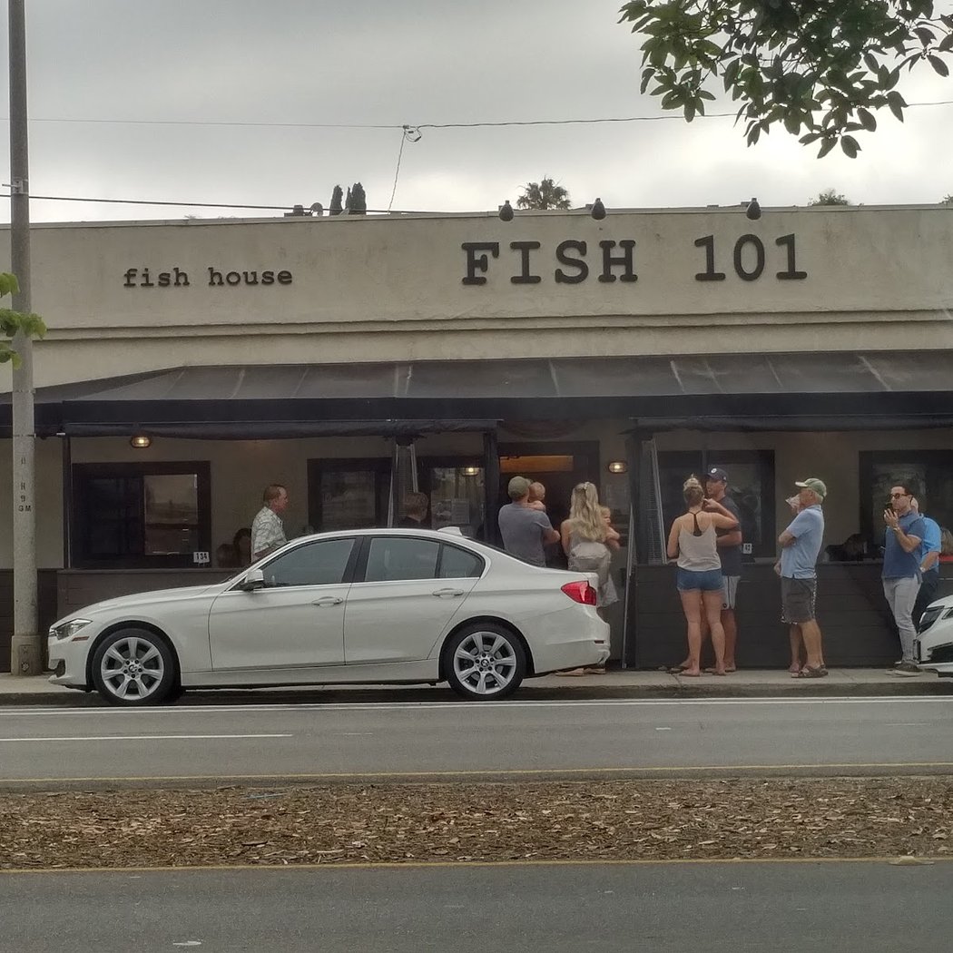 Fish 101 2