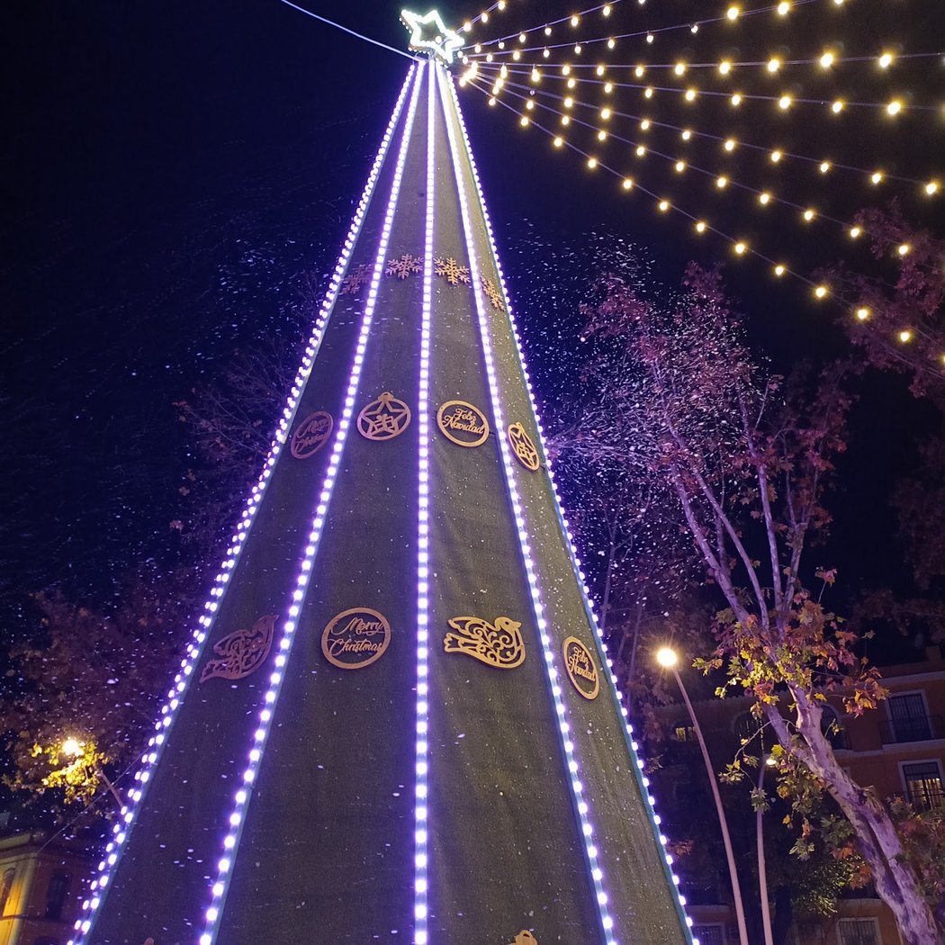 Mercado Navideño 1