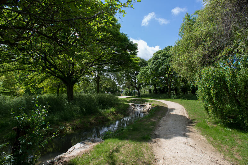 Bois de Vincennes 1