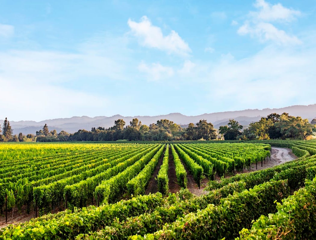 Caymus Vineyards Wine Dinner 2