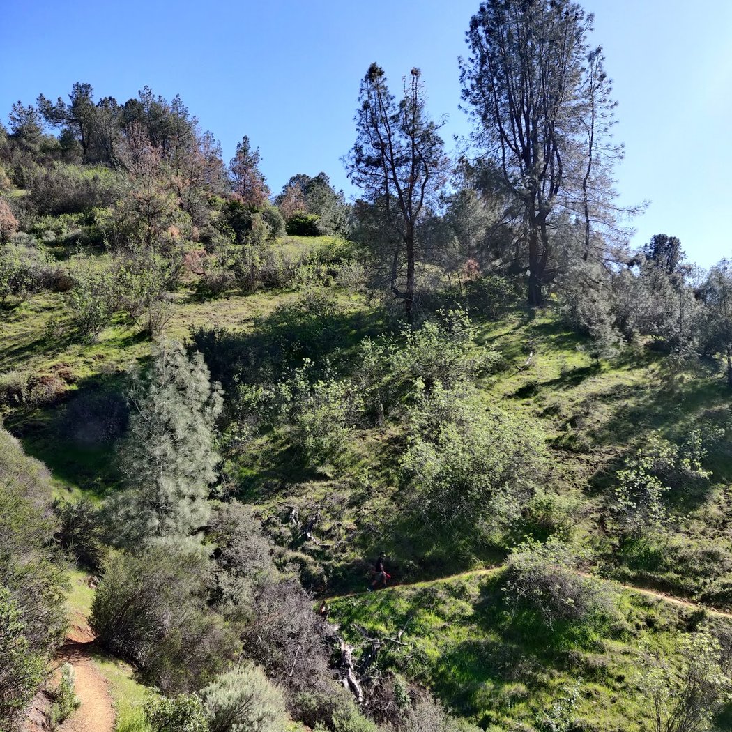 Eagle Peak Trail 2