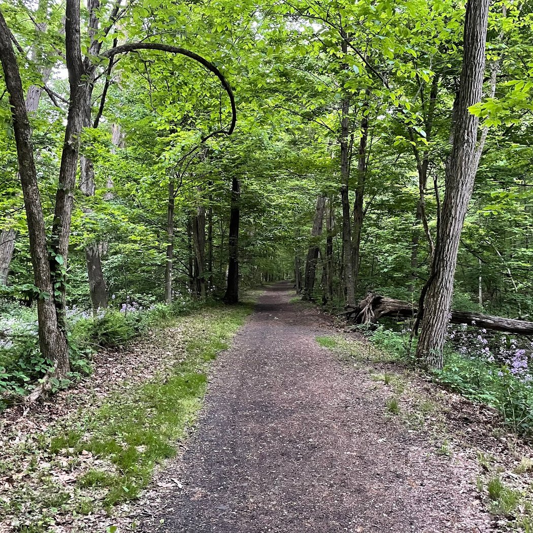 Rail Trail Kerhonkson 1