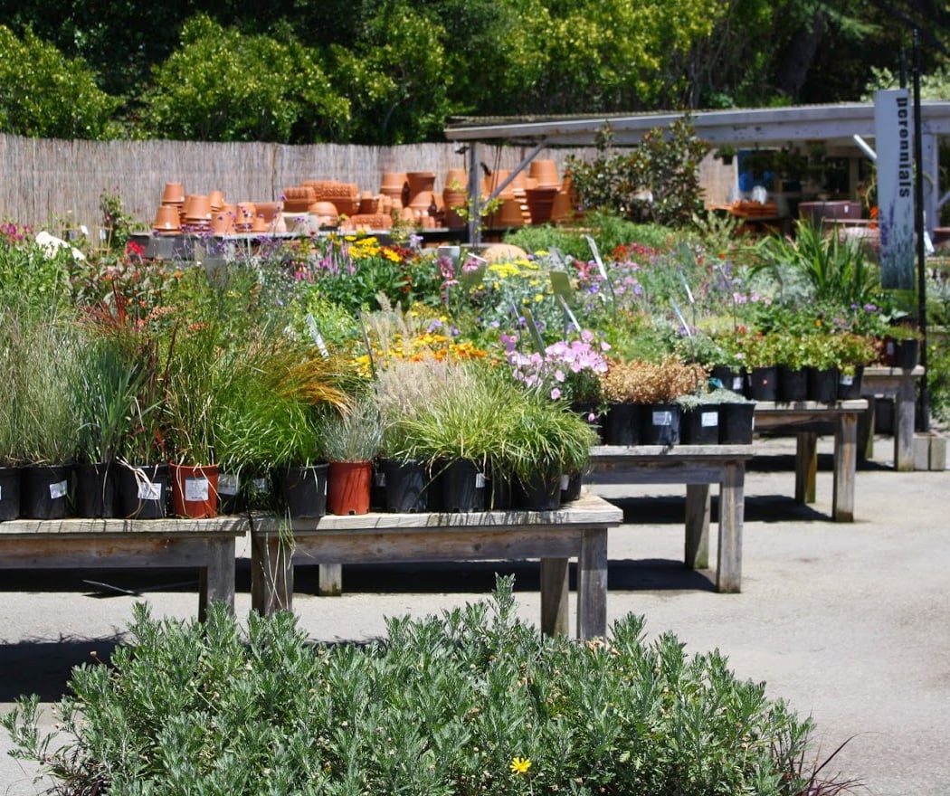 Sloat Garden Center 3