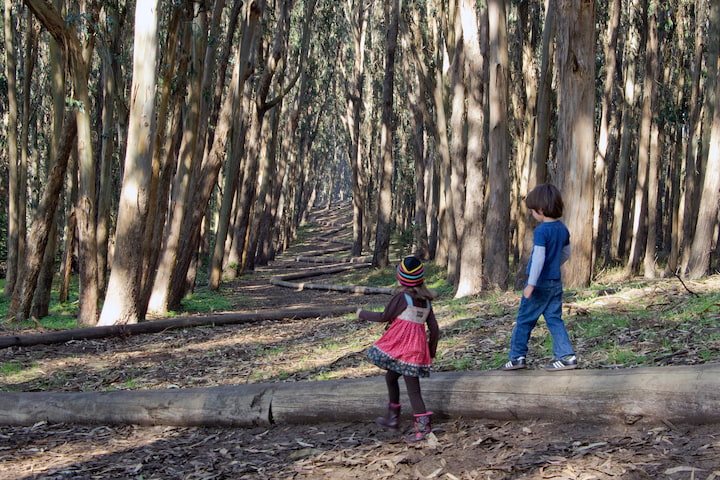 Wood Line 3