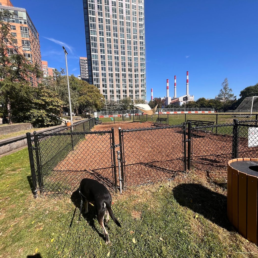 Southtown Dog Run 3