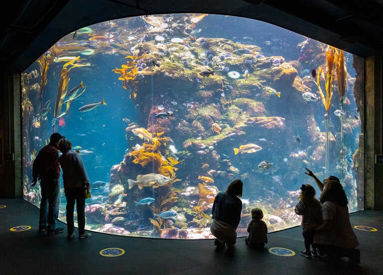 California Academy of Sciences 1
