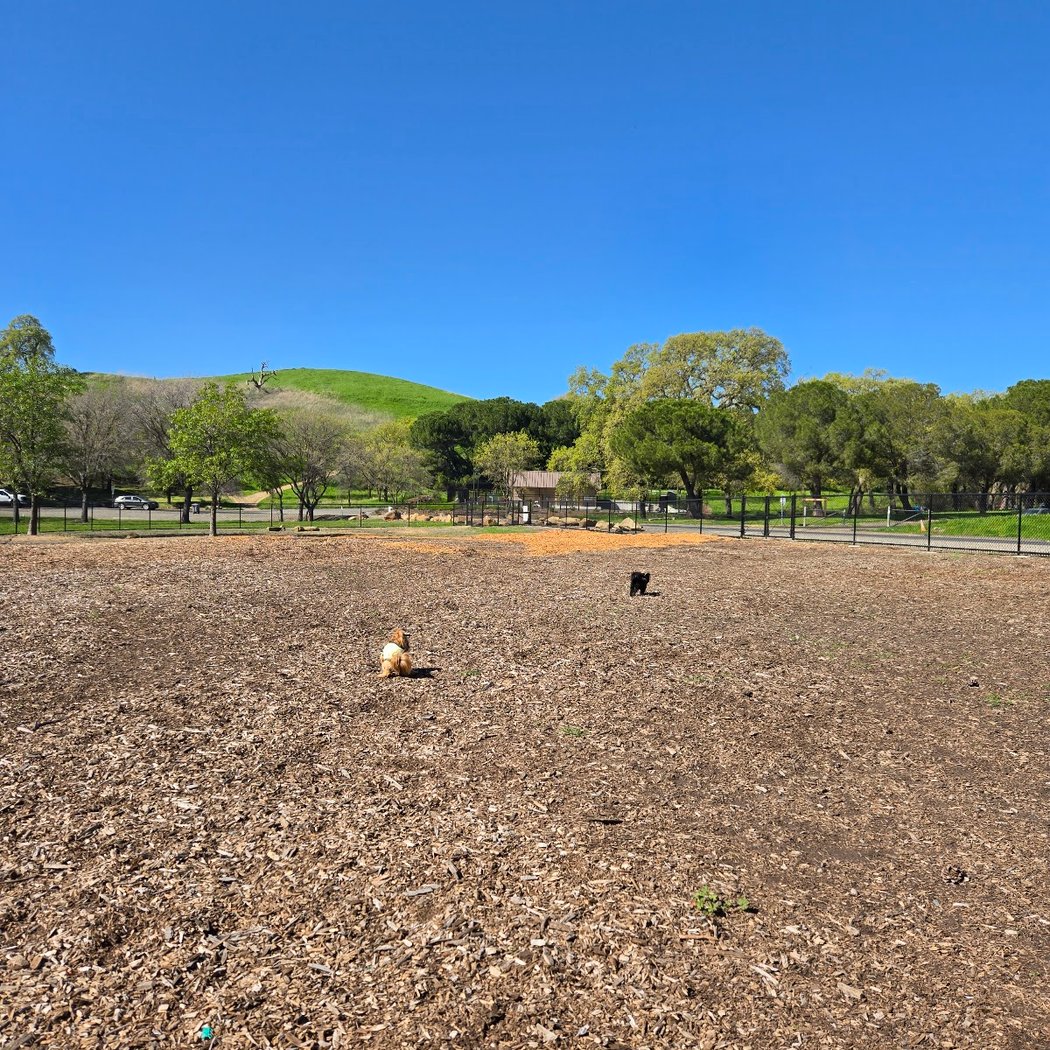 Lagoon Park Dog Park 2