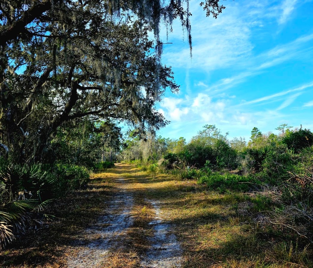 Conner Preserve 2