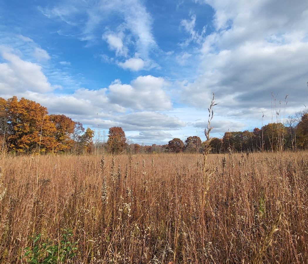 Arboretum Nature Area