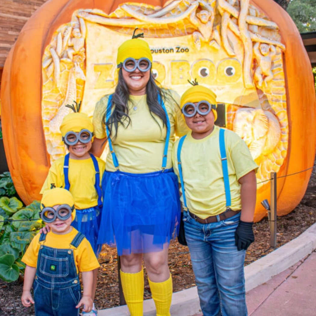 Zoo Boo