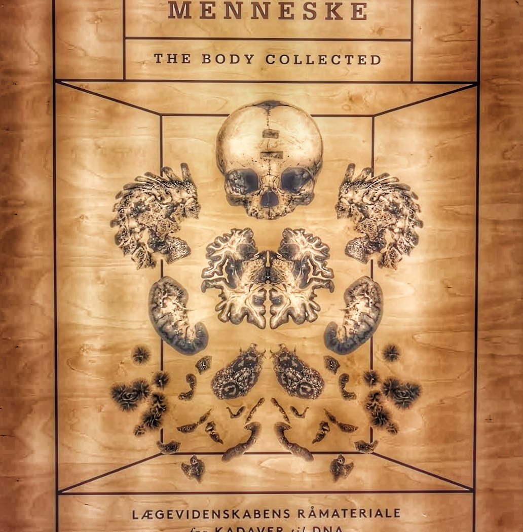 Medicinsk Museion 1