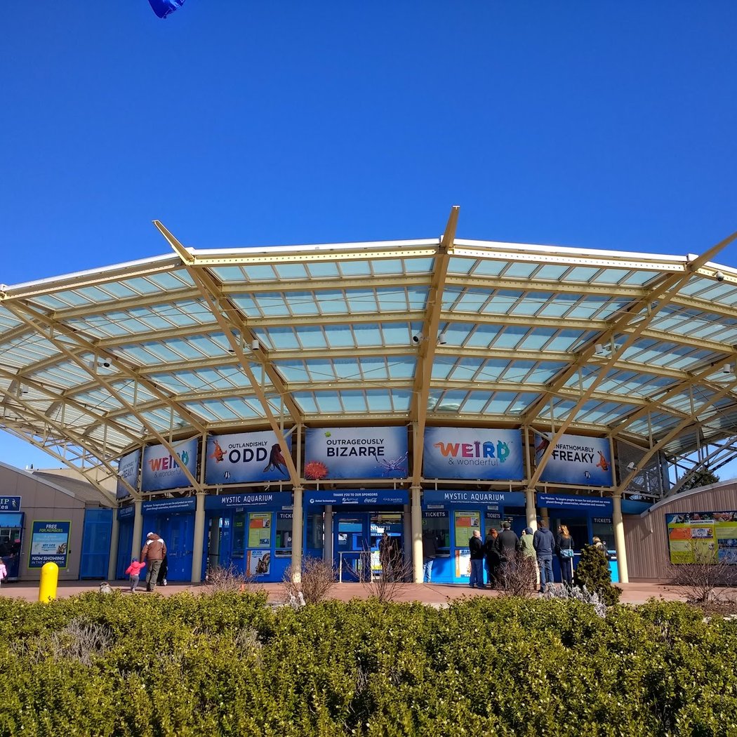 Mystic Aquarium 3