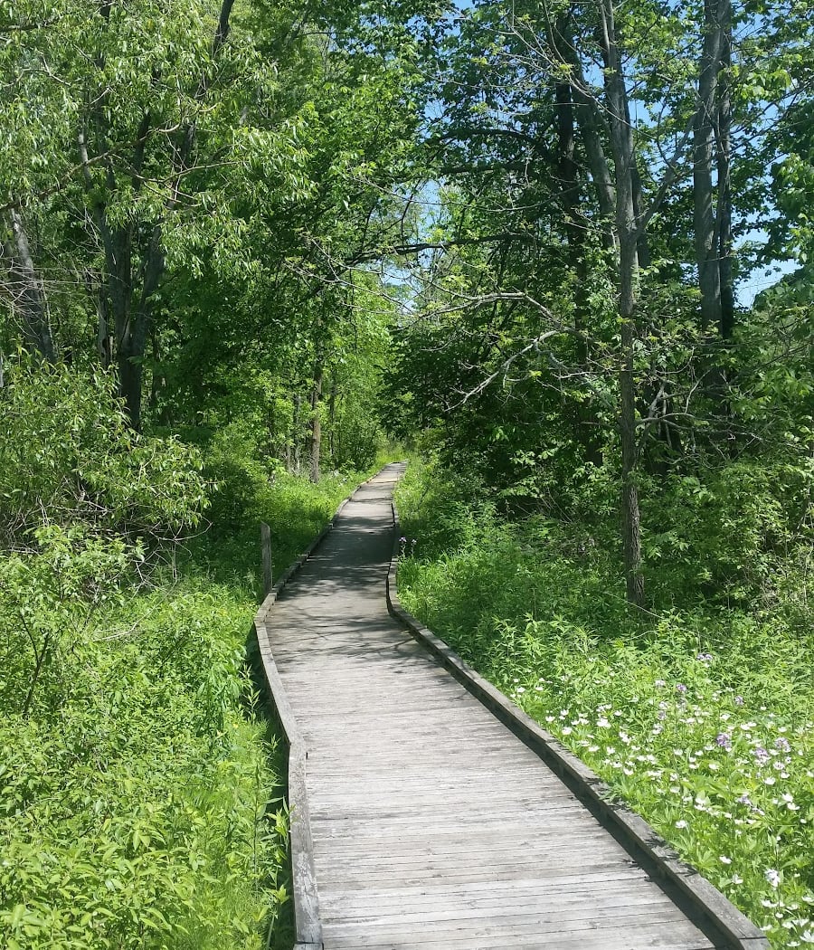 Flushing Township Nature Park 2