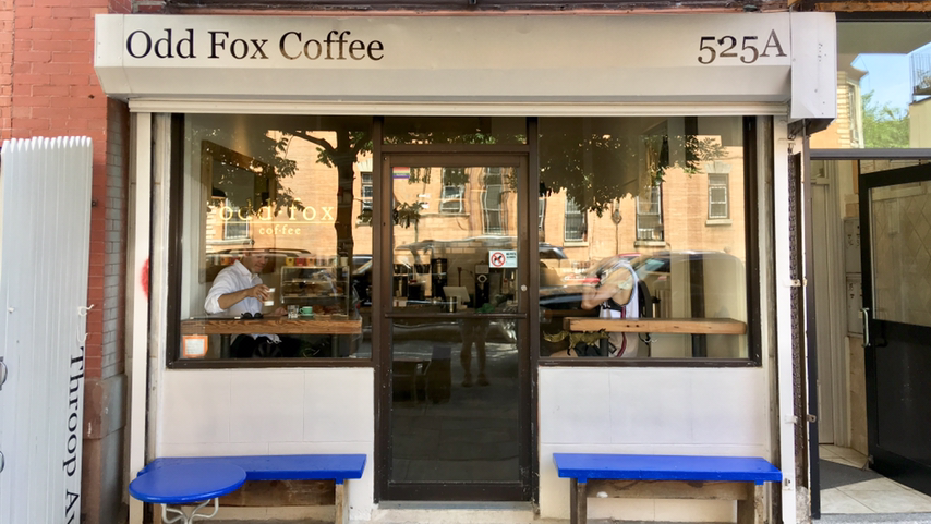 Odd Fox Coffee 2