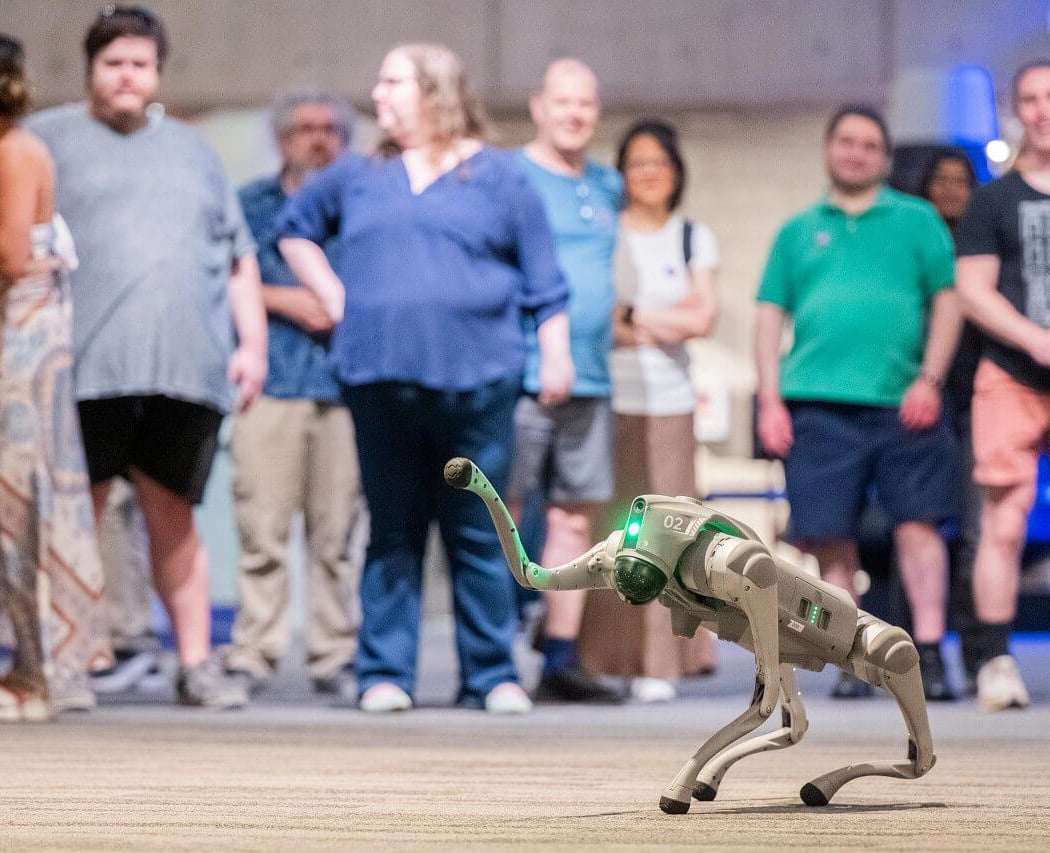 Robot Roundup 1