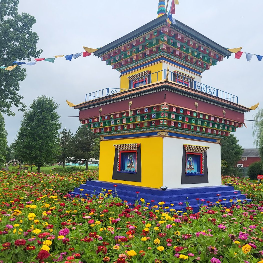 White Lotus Farms Farmers Market 1
