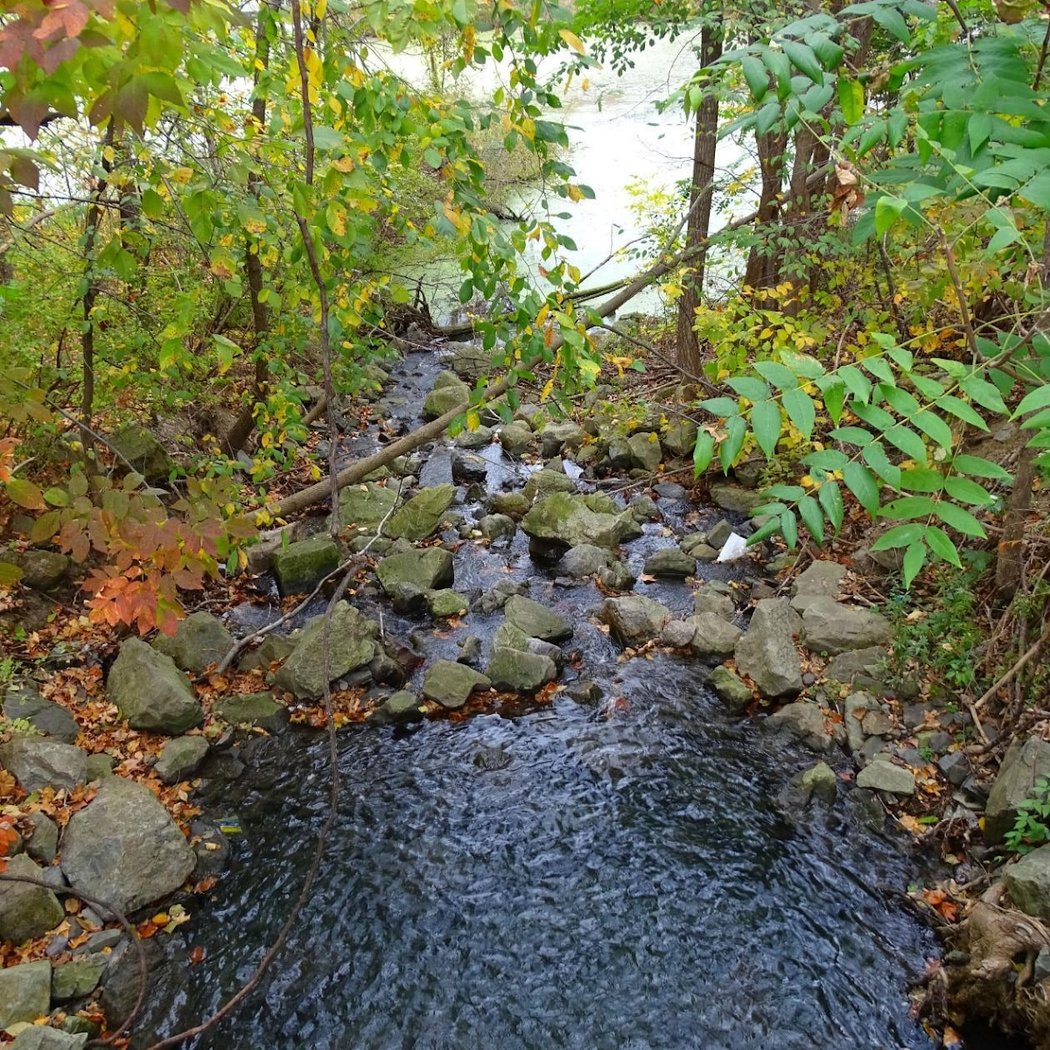 Wappingers Falls 3
