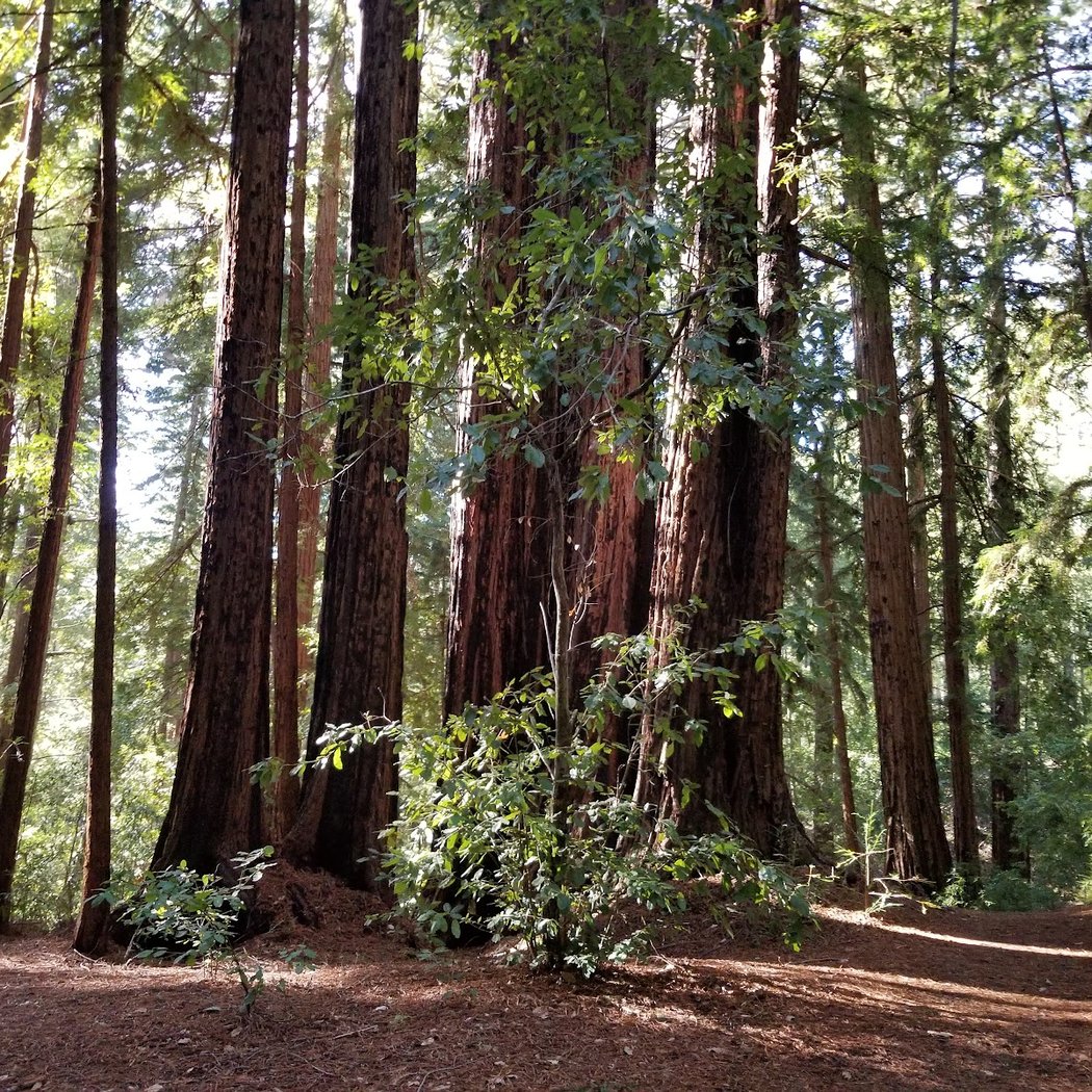 Earth Day BioBlitz 4