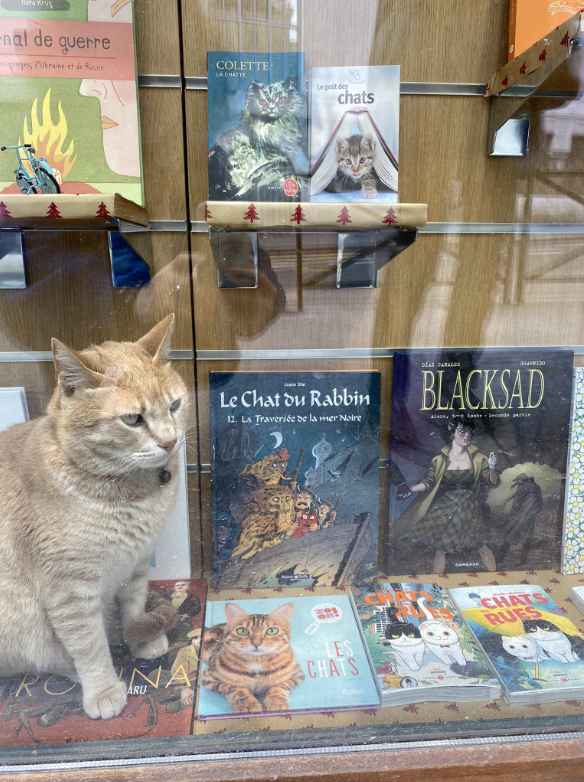 Librairie La Bicyclette Bleue 1