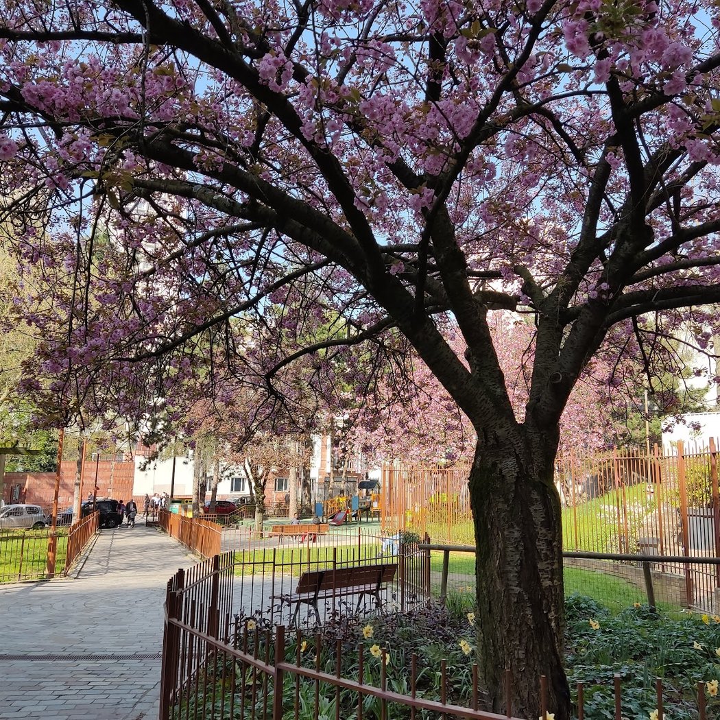 Jardin de la Dalle d'Ivry 1
