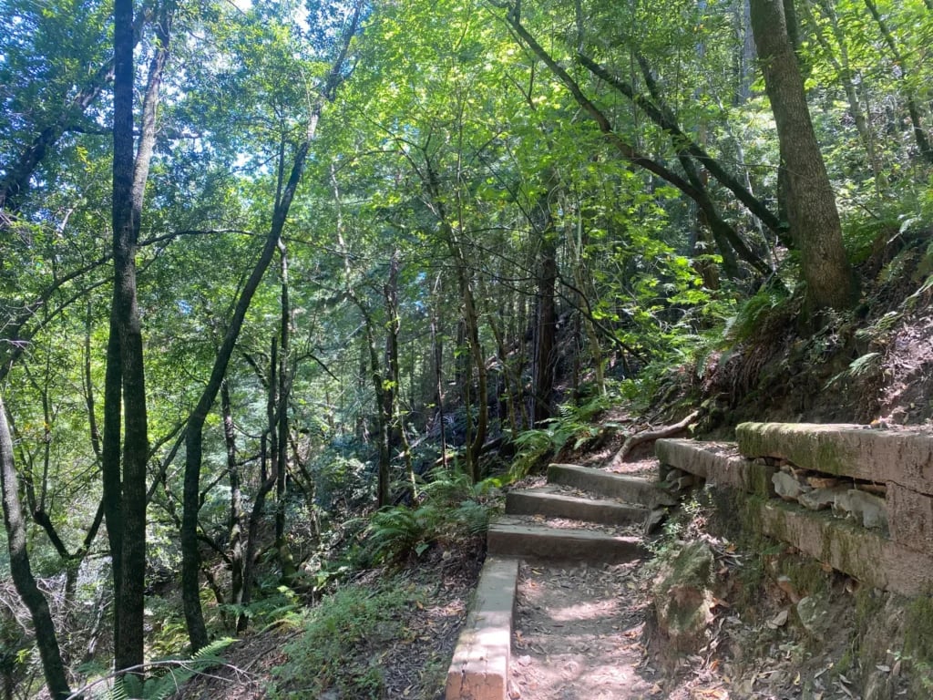 Baltimore Canyon 2