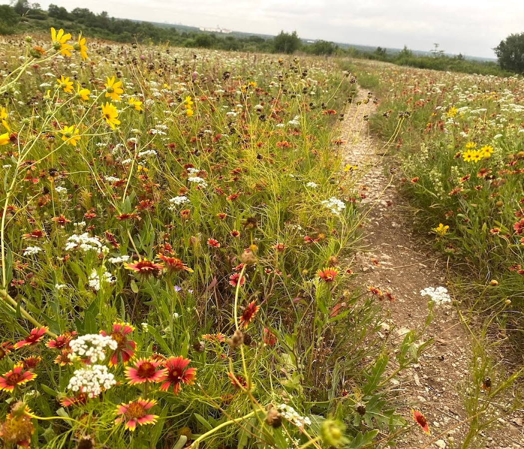 Tandy Hills Natural Area / Stratford Nature Area 2