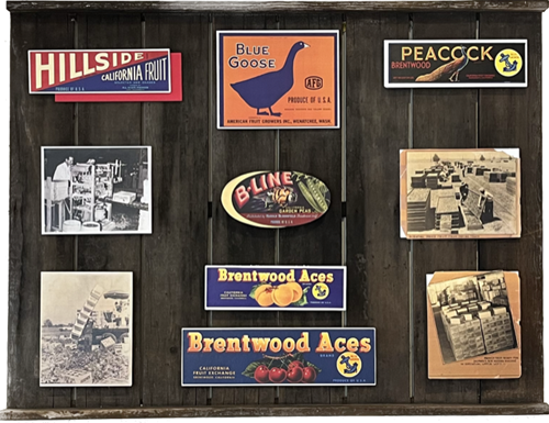 East Contra Costa Historical Society 2