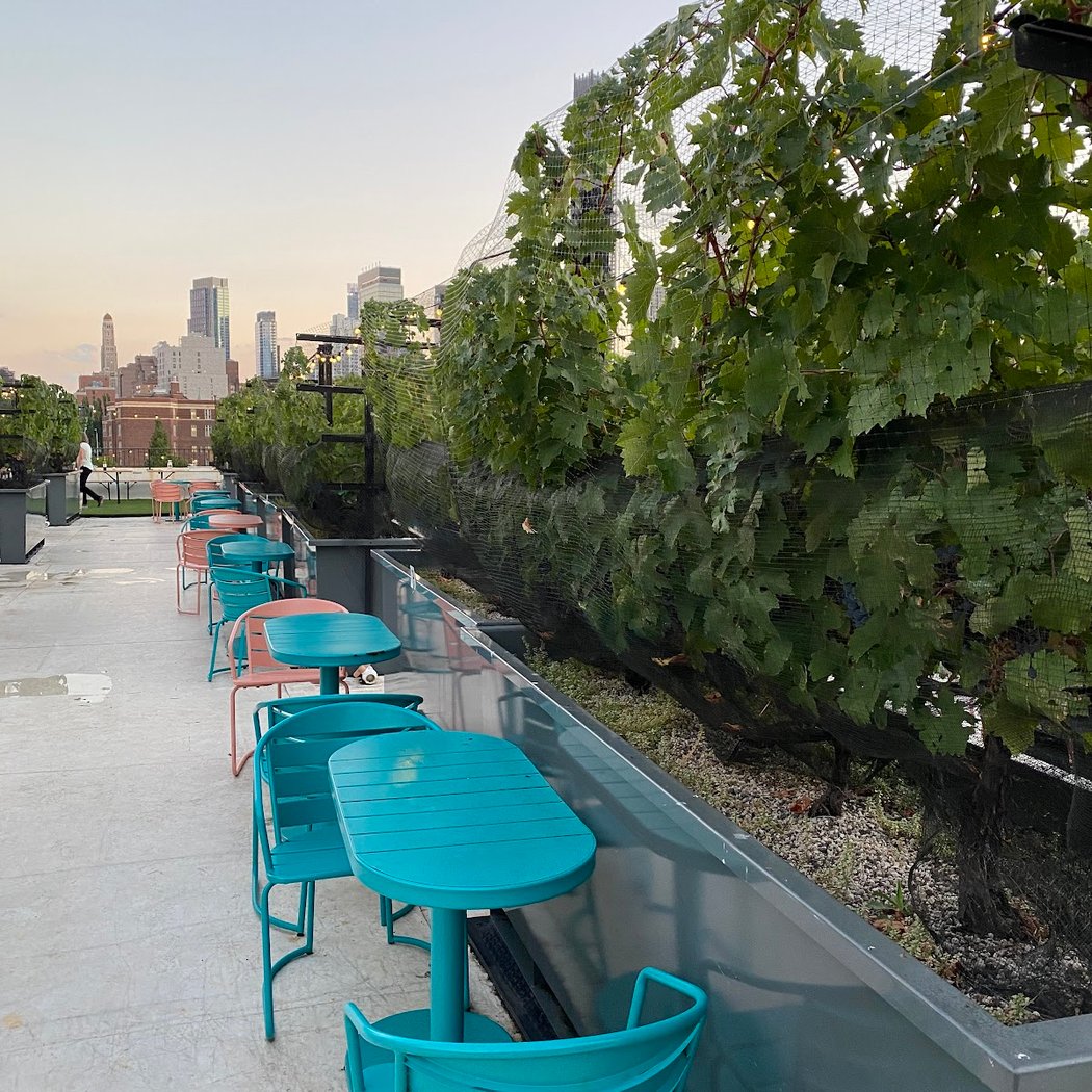 Rooftop Reds Vineyard Tours 2