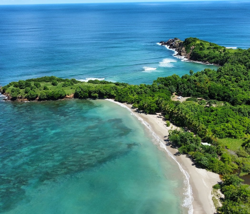 Presqu'Île Caravelle 1