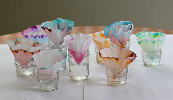 Coffee-Filter Chromatography 1