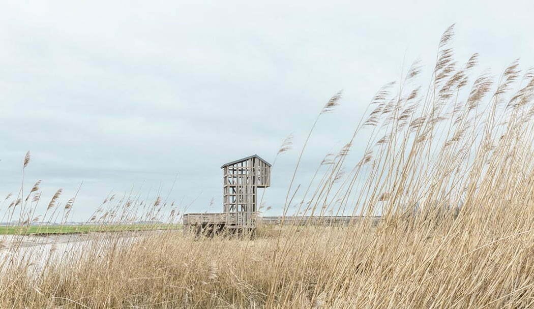 Loire estuary 3