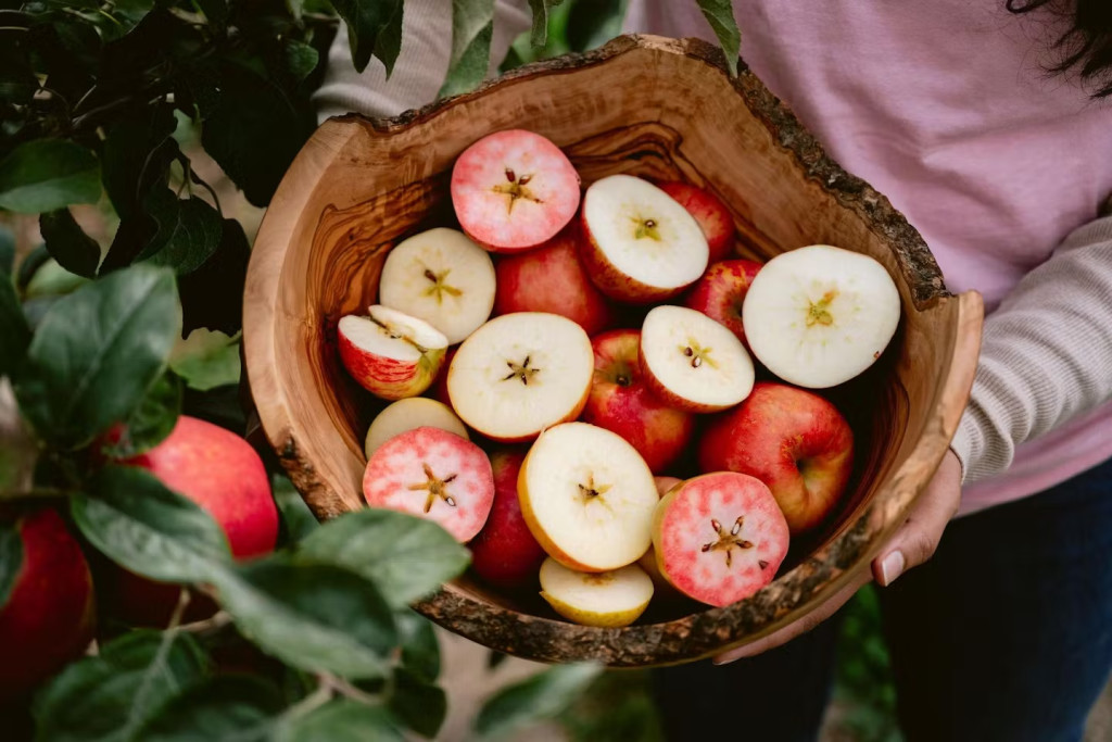 Ultimate Heirloom Apple Tasting & Orchard Experience 1