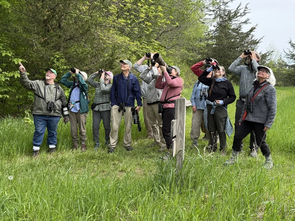 Guided Bird Walk at Bee Tree Park 3