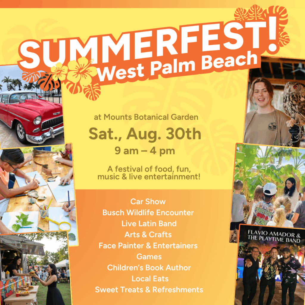 SummerFest!